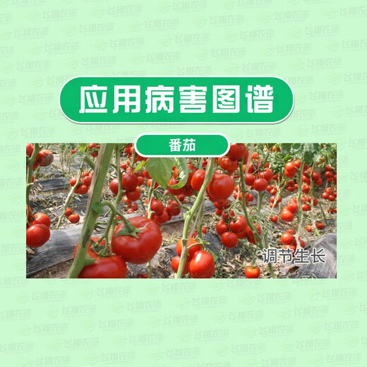 Aidoshou 1.8% sodium nitrophenolate for coloring flowers and fruits, promoting root growth, preserving flowers and fruits, plant antidote for pesticide damage and growth adjustment 50ml