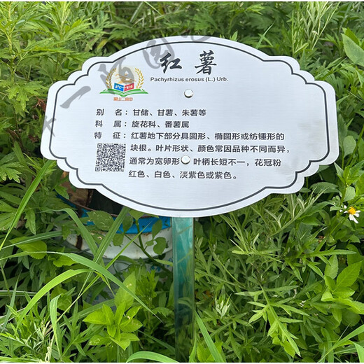 Customized stainless steel tree sign scenic spot plant greening flower sign tree introduction hanging sign ground sign 20x30cm