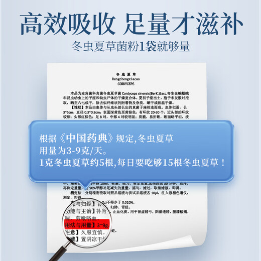 BoLing Mid-Autumn Festival Gift Box Huadong Medicine Fermented Cordyceps Sinensis Fungus Powder Supplement for Parents and Elders Holiday Gift Nutrients 1g 15 Bags Orange Gold Gift Box (New Customers Try It)