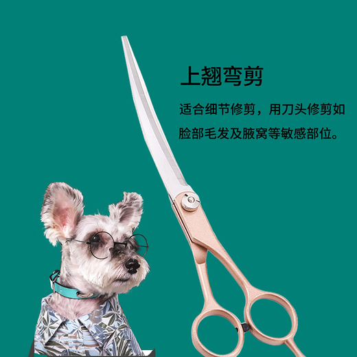 Tanizaki pet grooming scissors, dog hair tool set, 7-inch split scissors, professional trimming shears, curved scissors, Teddy cat and dog universal haircut tool, pet scissors #Cut scissors + dental scissors + straight scissors + steel comb storage bag