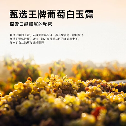 派斯顿（PASSTON）法国进口洋酒XO白兰地40°烈酒 钻石 原酒进口  微醺送礼聚餐调酒 700mL 1瓶