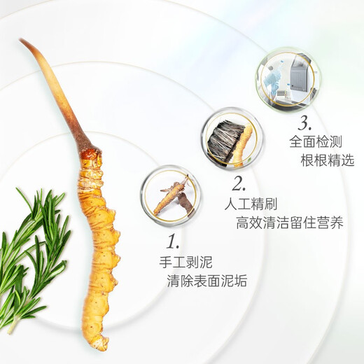 圣迪康藏2025年西藏那曲野生头茬新鲜冬虫夏草滋补品礼品 【顺丰空运】 0.8克/根  10根装
