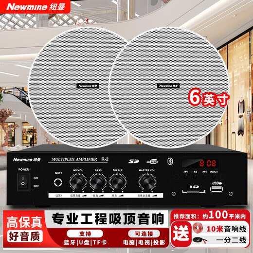 纽曼（Newmine）R19 吸顶音响套装蓝牙定压功放机公共广播家用客厅商用会议店铺背景喇叭嵌入式隐藏吊顶音箱一拖二