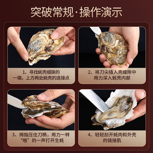 美厨（MAXCOOK）开蚝刀 304不锈钢生蚝刀子开蚝刀具 加厚牡蛎扇贝壳刀撬蚌耗器开 开耗刀MCGC4872