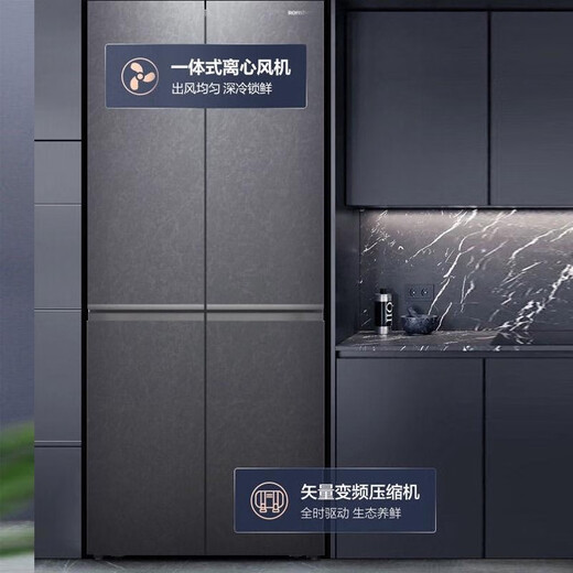 Ronshen BCD-465WRK1FPG color crystal dual-frequency dry and wet storage space four-dimensional purification refrigerator grade brand new and almost flawless
