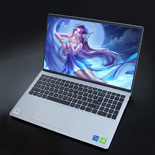 戴尔（DELL） 灵越3511升级版3520 15pro分期免息白条可选 15.6英寸大屏高性能轻薄 3520 i5-1235U 16G 512GB定制 白条12期分期