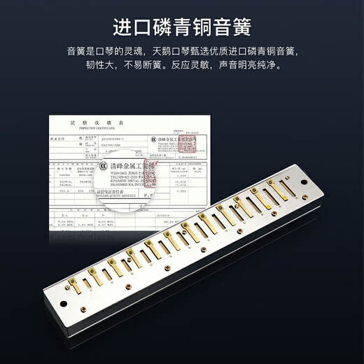 天鹅德国进口音簧24孔复音口琴高端送礼初学者成人专业演奏级 24孔蓝色【高端演奏级】