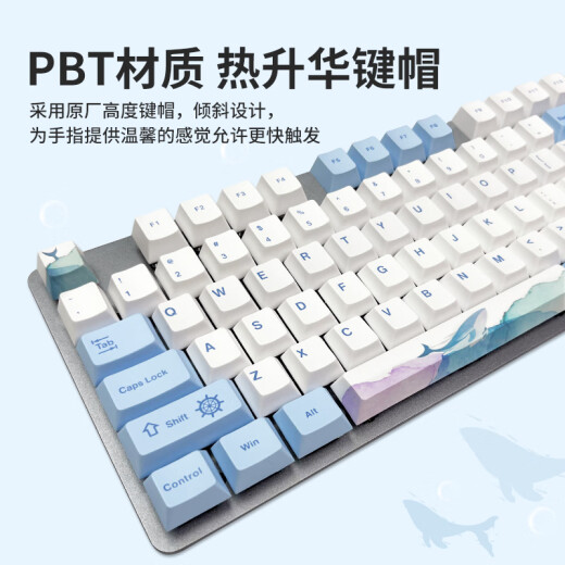 罗技（Logitech）K845机械键盘 游戏键盘 办公键盘有线全尺寸办公家用背光电竞吃鸡键盘 K845-青轴-鲸落