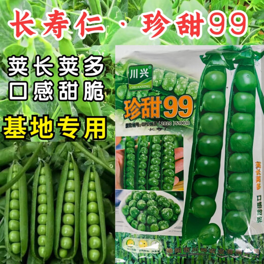 Zhentian 99 Sweet Pea Seeds Longevity Kernel Large Pods Large Sweet Crisp Dutch Pea Seeds Sown in Spring and Autumn Four Seasons Pea Seeds 10Jin Jin equals 0.5kg Original Bag Zhentian 99