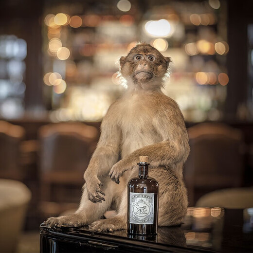 猴王47（Monkey ）黑森林干金酒 风味配制酒 德国进口洋酒 500mL 1瓶