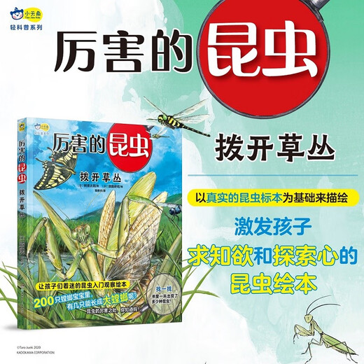 厉害的昆虫 拨开草丛 以真实的昆虫标本为基础，清晰展现各种昆虫的样貌，4-8岁科普百科启蒙绘本9787556265701