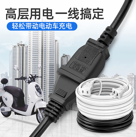 Rallonge du cordon d'alimentation Deux trous, deux bouchons, 2 noyaux électriques de voiture électrique Alimentation d'alimentation Plugure de prise de rallonge avec câble Rallonge noir Routage de 2500W-5 mètres