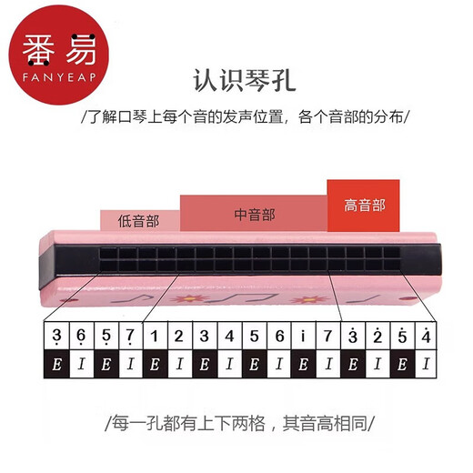 番易口琴/儿童A1P63-创意礼物口风琴木质初学者入门吹奏乐器小学生 16孔 木质黄色水果1个