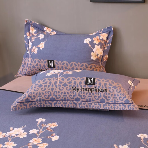 Nanjiren (NanJiren) All-Cotton Furry Four-Piece Bedding Kit Thickened Single and Double Bed High-Strength High-Dense Bed Sheet Four-Piece Cover Xinya/Fangfei Time Blue 1.8 Bed/Bed Sheet (Quilt Cover 200*230cm)