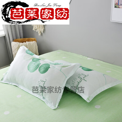 Hua Qianmo Internet celebrity pillowcase single pillowcase children's cartoon summer double pair pillowcase liner cover whole head 45x70cm pillowcase single Sydney