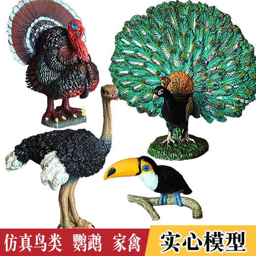 儿童玩具仿真动物模型鸟类套装大嘴鸟鹦鹉鸵鸟孔雀小鸟火鸡男孩女 723红色金刚鹦鹉