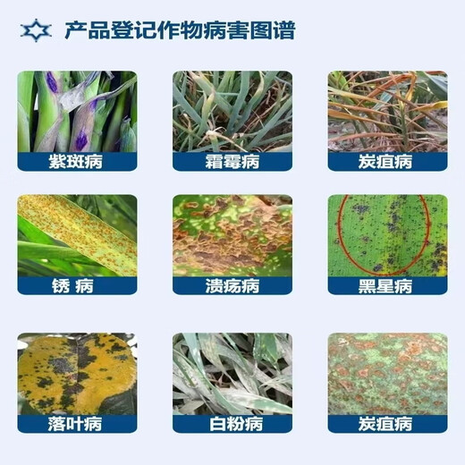 Fenoconazole, pyraclostrobin, tebuconazole, anthrax, powdery mildew, rust, downy mildew, pesticides and fungicides 1000g+1000g+1000g 1 set