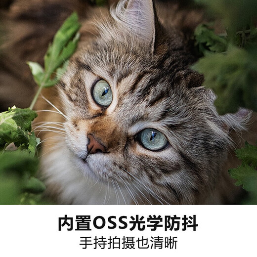 Sony (SONY) half-frame fixed focus mirrorless lens E50 F1.8 black official standard brand new unopened