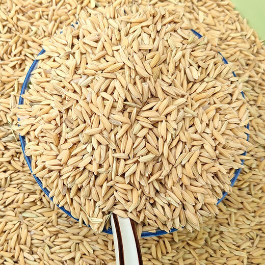 10 Jin Jin is equal to 0.5 kg. Hulled rice, millet, rice, cereal grains, rice for chickens, ducks, geese, pigeons, hamsters, pet feed. Farm rice 10 Jin Jin is equal to 0.5 kg (limited to 1 purchase)