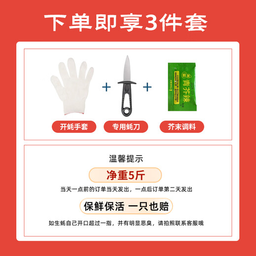 Fresh Jingcai Fresh Oysters 4XL Net weight 5Jin Jin is equal to 0.5kg 10-13 oysters delivered fresh to your home Fresh seafood straight from the source