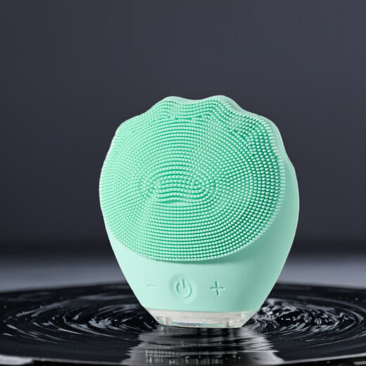 Gerllo Facial Cleansing Instrument Electric Pore Cleansing Facial Washing Instrument as a Birthday Gift for My Girlfriend Mint Green High Frequency Vibration 5-level Adjustment