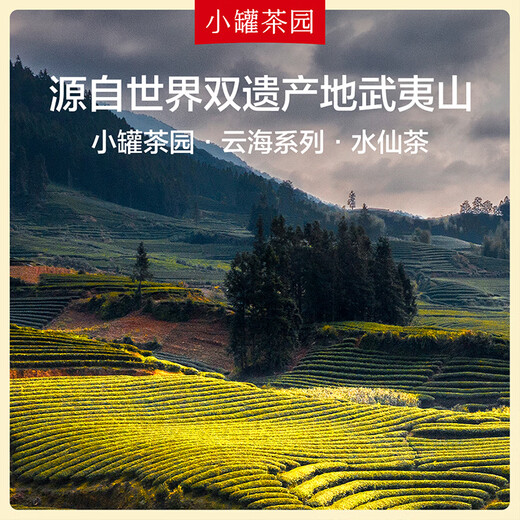 小罐茶园 云海系列水仙茶特级乌龙茶茶叶礼盒大罐装 茶叶自己喝 特级水仙 150g*1罐