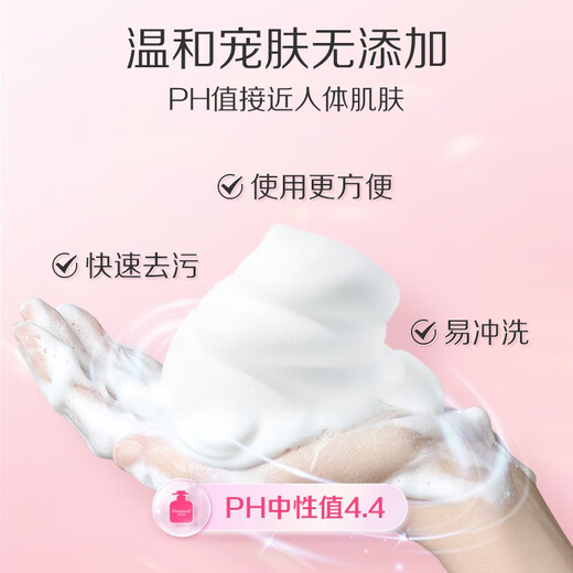 Adolf Timson Antibacterial Hand Sanitizer 99.9% Clean and Moisturizing Hand Sanitizer Gentle and Easy to Rinse Floral Foam Mousse Hand Sanitizer 550ml*1