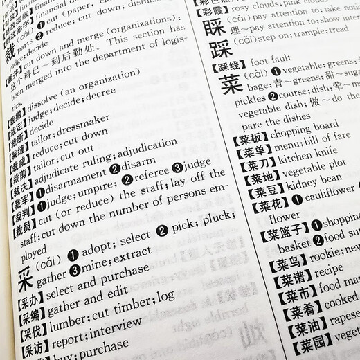 实用英汉汉英词典+实用现代汉语词典全2册初中生工具书解释汉语字典词典工具书