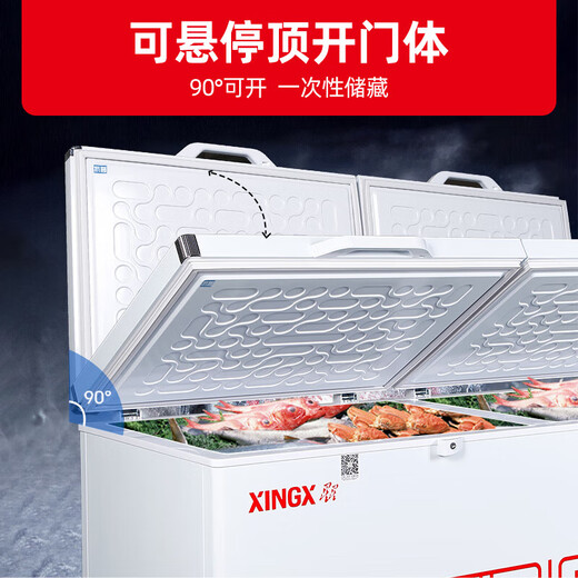 Xingxing (xingx) refrigerador de congelador de gran capacidad de gran capacidad horizontal, refrigeración y conversión del congelador, congelador de temperatura única, eficiencia energética de primer nivel de refrigeración de alta eficiencia, tiendas, supermercados, tiendas de conveniencia, helado rápido, transmisión interna precubier