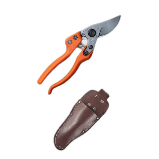 Original importado de Alemania, tijeras de poda de lujo de la marca Lion, tijeras de árbol de frutas de alta gama, manija giratoria, marca de león 12109 Mango giratorio pequeño + set de cizalladura