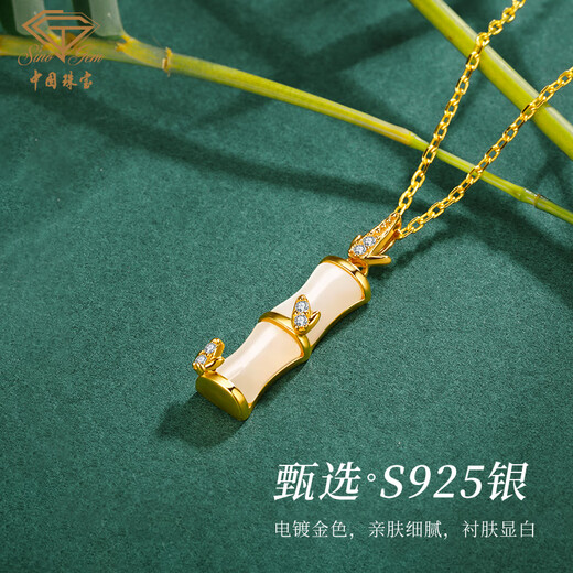 Chinesische Schmuck Geburtstag Geschenke für Freundin mit Ihnen Bambus genug Bambus Joint Silber Halskette für Freundin beste Freundin Frau