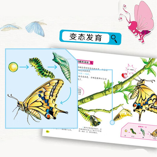 小昆虫大探秘（全套8册）彩图版 中小学生课外科普百科自然动物绘本1348****神马卡通四川少年儿童出版社
