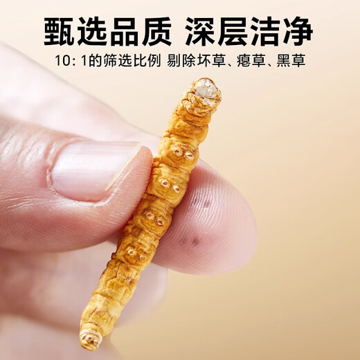 秦仁堂冬虫夏草10克断草全虫肉节冬虫夏草正品实惠自用冬虫夏草断虫草