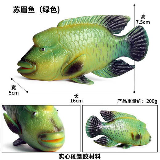 Spielzeugfisch erkennt die gefälschte Fischsimulation von Kindern Ozeanwasser Fischmodell Tierlachs Mann Thunfisch gesalzene Fischqualle M-1151 Krokodil El