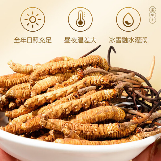 Lei Yunshang Wild Cordyceps 4 Wurzeln/G 7g ungefähr 28 Wurzeln Tibet Nagqu Cordyceps Geschenkbox High-End-Tonikum