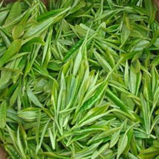 Mingshi Chunyuan origin Maojian tea wholesale fried green tea before and after the rain spring tea Xinyang Maojian 125g*1125g