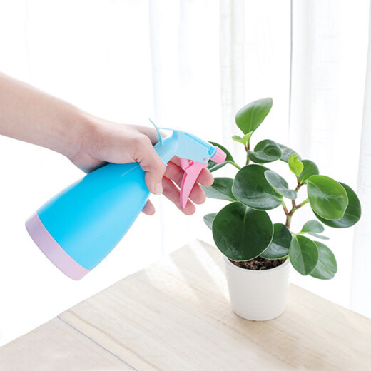 Cuttlefish film wall sticker tool 3650 wallpaper scraper utility knife hand-pressed spray bottle cleaning glass large watering can