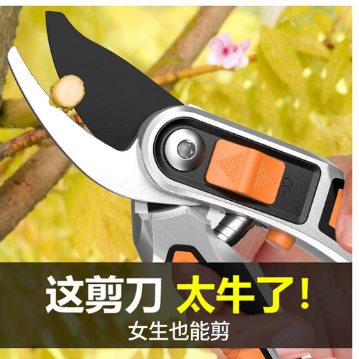 Bobenjia garden fruit tree pruning scissors, special scissors for cutting branches, pruning scissors for pruning flowers, gardening scissors, branch scissors. Silver cast aluminum handle