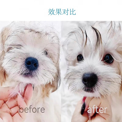 Broken hair finishing liquid, hair styling, long-haired dog grooming and styling, Maltese Yorkshire pet supplies, transparent supplies, transparent