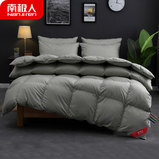 Antarctic quilt core home textile down feather quilt single four-season cover to keep warm spring and autumn bedding gray 150*200cm about 4.5 Jin [Jin equals 0.5 kg]