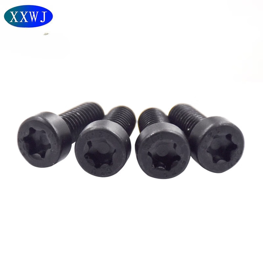 CHENGLIU 12.9 NEGRO NEGRO DEL ALGUNA PULLA DE CAMINACIÓN DE PULLO CILDRICA Cilíndrica GB6191 Bolt de zinc blanco con platillo azul M4M5M6M8 El siguiente es la serie T20 de cabeza delgada M4 M4