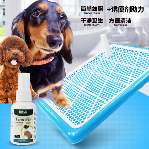 Hanhan Paradise Dog Toilet Large Flat Table (Suitable within 62 Jin [Jin is equal to 0.5 kg]) Pet Dog Toilet Medium and Large Dog Urinal Pot Stool Pot Blue with Post for Easy Flushing