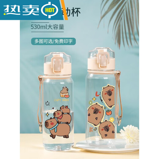 OUOETY水壶小水豚鼠水杯卡屁吧啦杯子学生便携夏季大容量 530mlR3271水豚塑料饮杯-