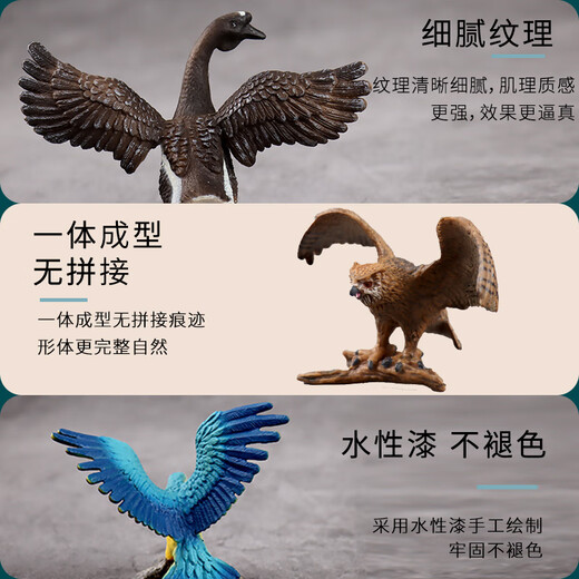 儿童玩具仿真动物模型鸟类套装大嘴鸟鹦鹉鸵鸟孔雀小鸟火鸡男孩女 723红色金刚鹦鹉