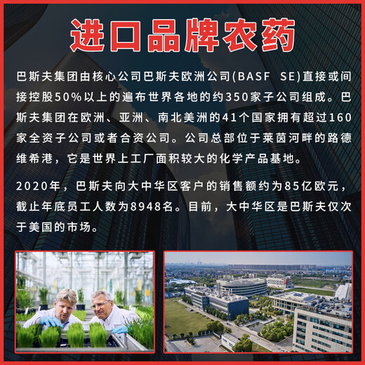 巴斯夫百泰60%唑醚代森联葡萄霜霉病柑橘炭疽病花生叶斑病进口农药杀菌 百泰60%唑醚代森联20g