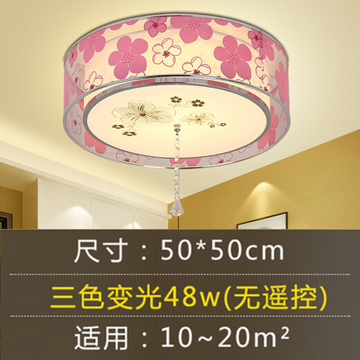 泰士隆卧室灯 led房间灯客厅灯浪漫温馨简约现代唯美婚房灯饰灯具吸顶灯 5024W 11三色50*