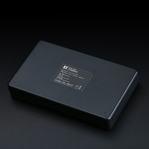 Fengbiao (FB) Sony Handheld DV-камера литиевая батарея, подходящая для AX700/60/45/30 CX680/610 PJ675 SEAT Зарядное устройство [3090MAH] FV100A двухэлектрический набор для двойного зарядного зарядки [3090MAH] FV100A