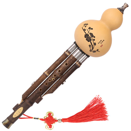 Yunnan Zizhulang Hulusi Musical Instruments Beginner Professional Performance Tuning Durable Seven-hole Zizhu Three-tone Hulusi C-down B-down DGF Primary School Student C-module No books