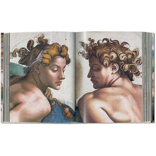 Michelangelo. The Complete Works. Paintings Sculptures Architecture, Michelangelo's complete collection of paintings, sculptures, and architectural works