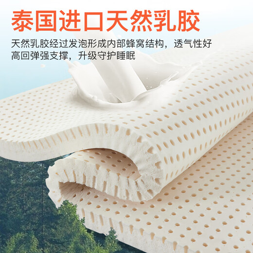 金丝海马床垫椰棕天然乳胶床垫席梦思软硬双面家用薄款高箱床垫子定制拆洗 厚12cm舒适款适中:独立弹簧+乳胶 1350*2000